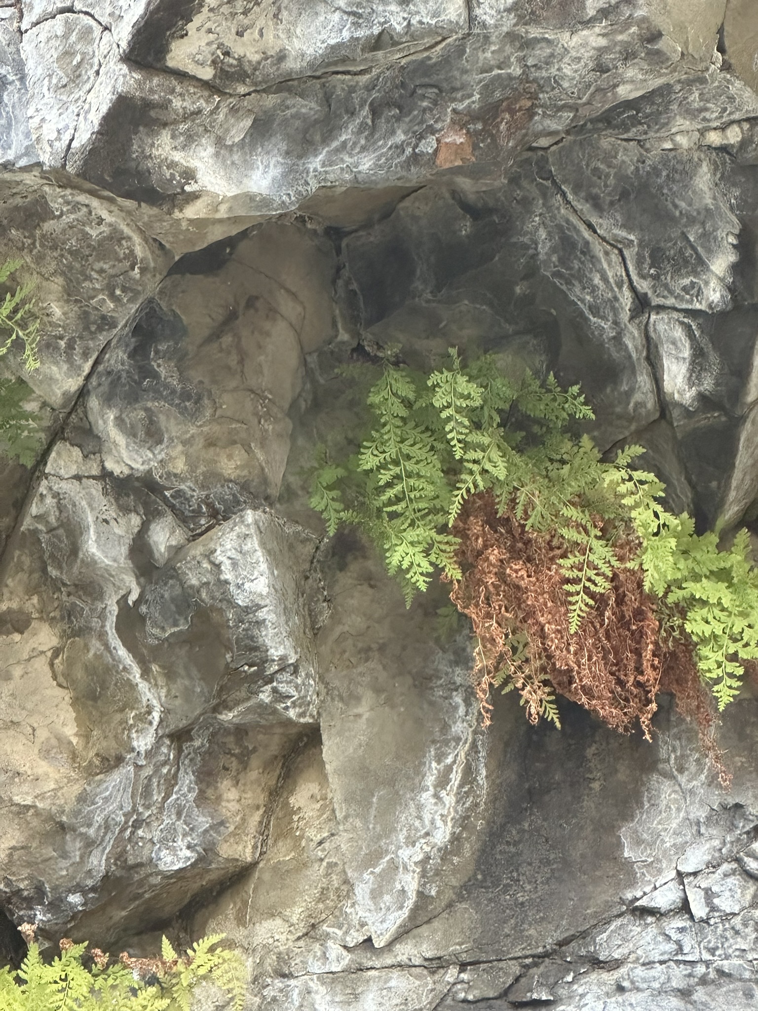 Yellowstone And Grand Teton National Parks - Image 878